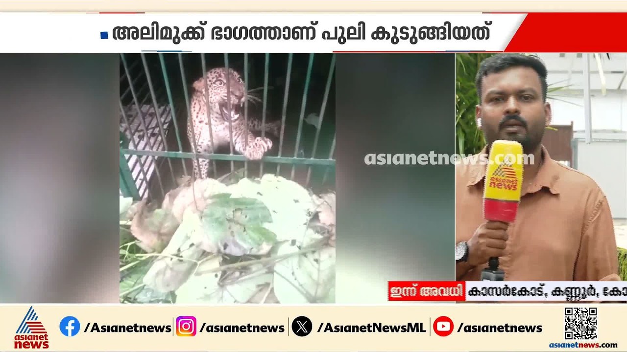 പത്താനാപുരത്ത് വളര്‍ത്തുമൃഗങ്ങളെ കൊന്ന പുലി കെണിയിലായി