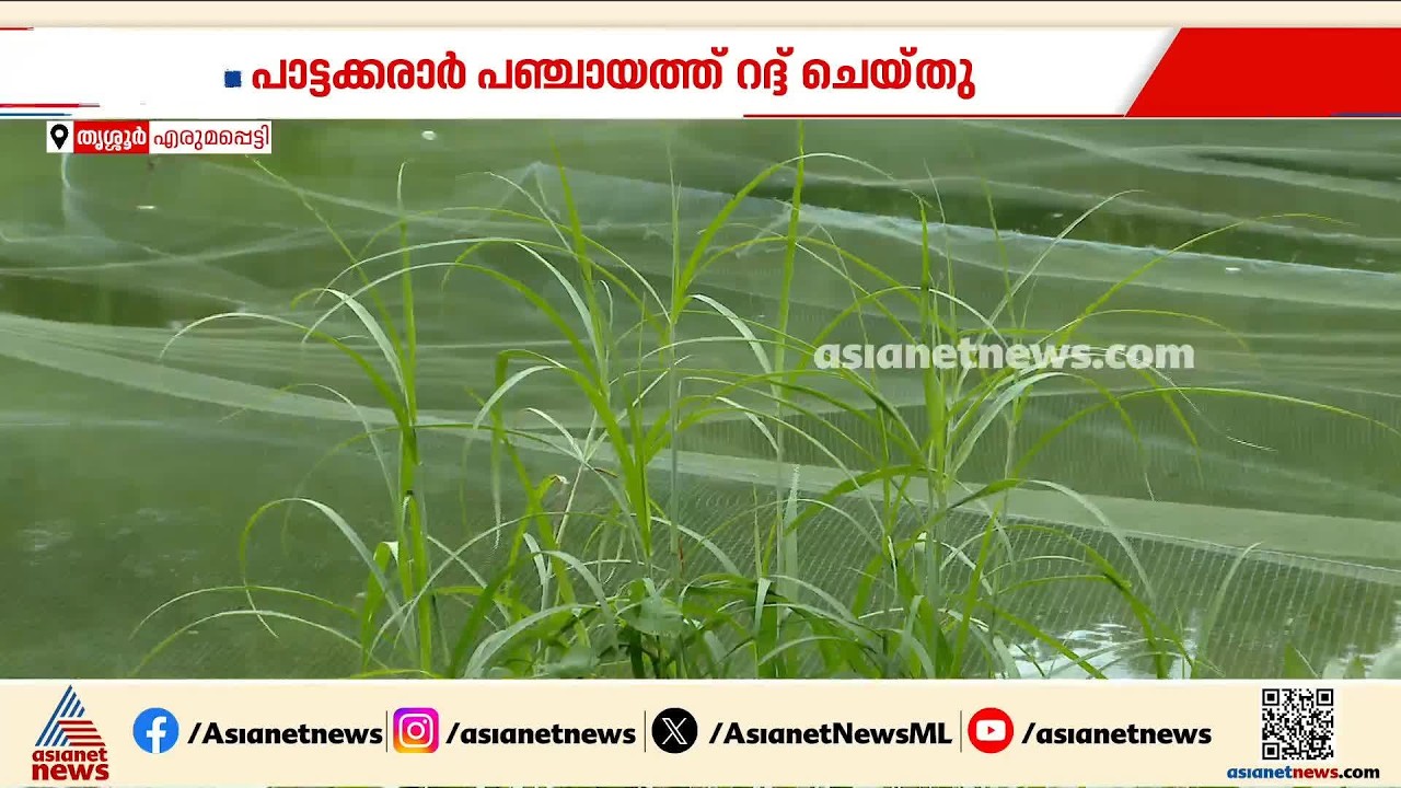 പൊതുകുളം സ്വകാര്യവ്യക്തികൾക്ക് പാട്ടം നൽകി; എരുമപ്പെട്ടിയിലെ നാട്ടുകാർ ദുരിതത്തിൽ