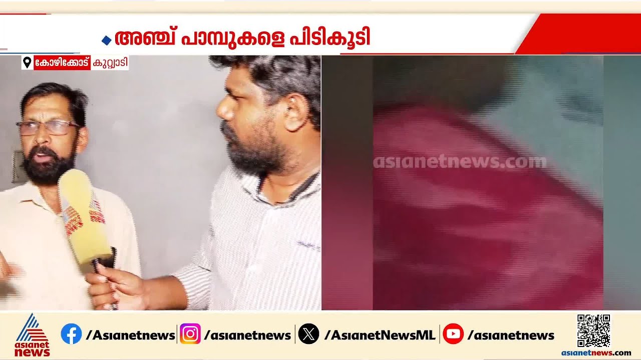 'പാമ്പിനെ കണ്ട മോളുടെ ഞെട്ടൽ ഇതുവരെ മാറിയിട്ടില്ല'; കുറ്റ്യാടിയിൽ വീട്ടിൽ നിന്ന് പാമ്പുകളെ കണ്ടെത്തി