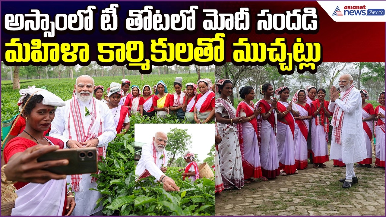 PM Modi Visits: అస్సాంలో టీ తోటలో మోదీ సందడి.. మహిళా కార్మికులతో ముచ్చట్లు! | Asianet News Telugu