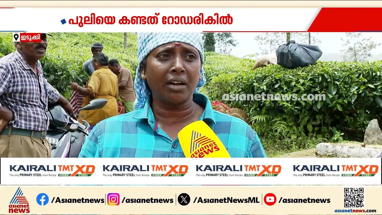കടുവയ്‌ക്കൊപ്പം പുലിയും; ഭീതിയിൽ ഇടുക്കി ​ഗ്രാമ്പി നിവാസികൾ