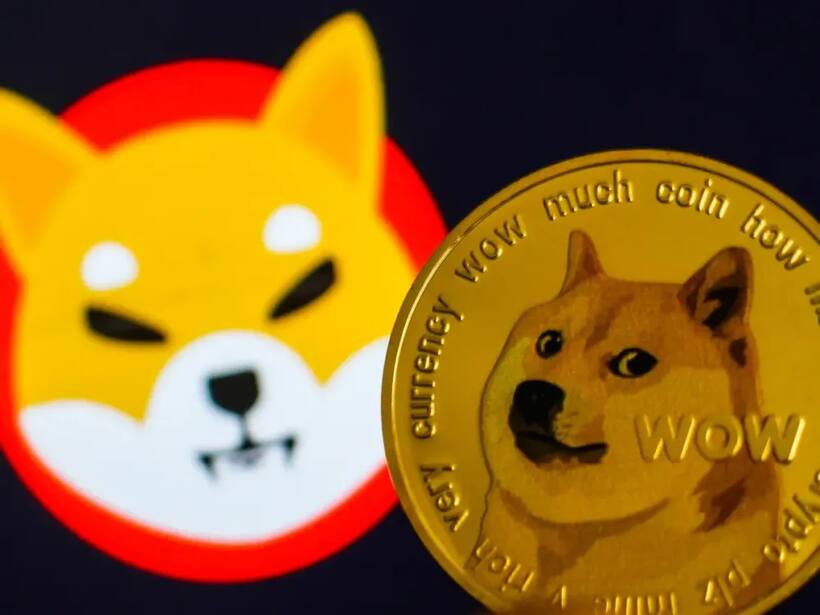 Dogecoin, Shiba Inu Tokens See Double Digit Gains As Bitcoin Holds Steady At $88K – Retail’s Feeling Bullish