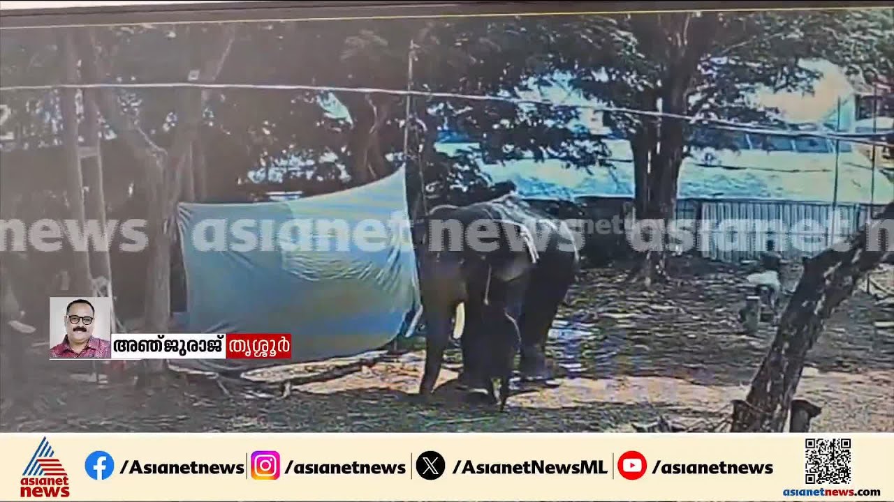 ഇരിങ്ങാലക്കുട കൂടല്‍മാണിക്യം ക്ഷേത്രത്തില്‍ ആന പാപ്പാനെ ചവിട്ടിക്കൊന്ന സംഭവം; CCTV ദൃശ്യങ്ങള്‍