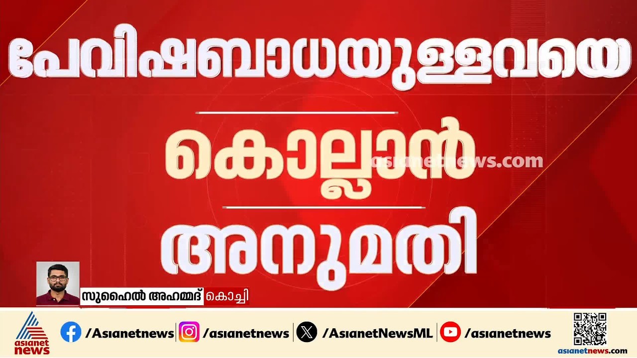 തെരുവ് നായ്ക്കളുടെ ദയാവധം; മാർഗ്ഗനിർദ്ദേശം പുറത്തിറക്കി തദ്ദേശ വകുപ്പ് | Stray Dog