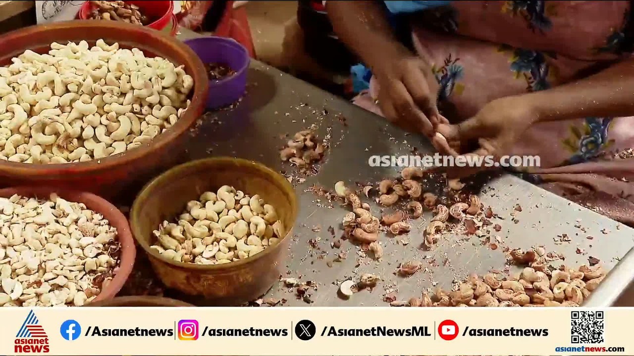 എന്താണ് കശുവണ്ടി കേസ് അഴിമതി ?; വിശദമായി അറിയാം