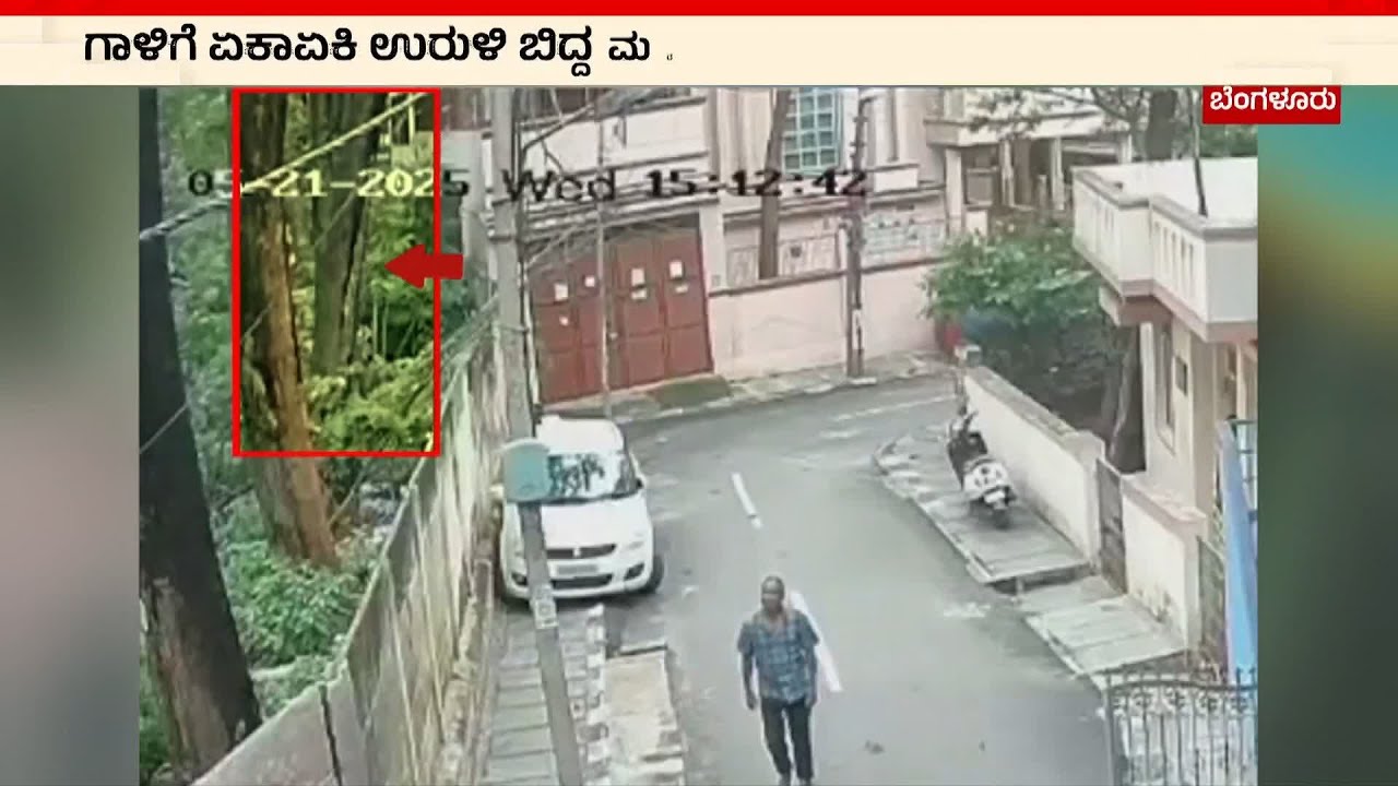 ಗಾಳಿಗೆ ಏಕಾಏಕಿ ಉರುಳಿದ ಮರ