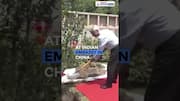 Jaishankar Plants Tree in Beijing for ‘Ek Ped Maa Ke Naam’