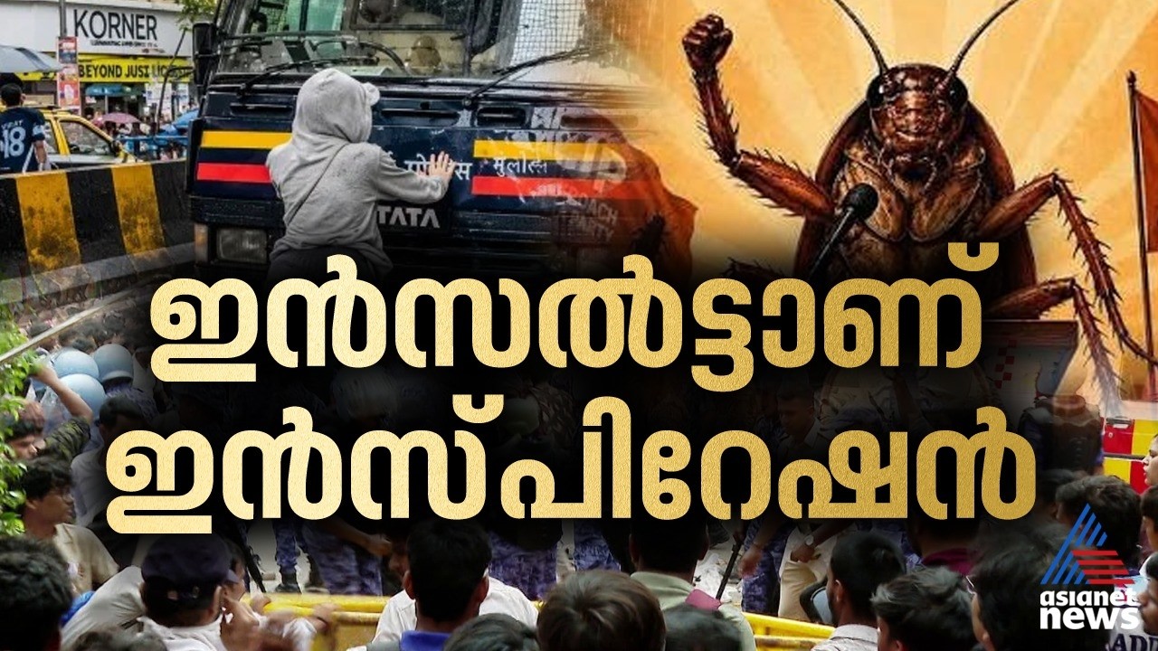പെറ്റുപെരുകിയ പാറ്റകൾ, മുട്ടുമടക്കിയ സർക്കാർ | CJP Protest