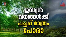 Climate Change Impacts on Indian Forests