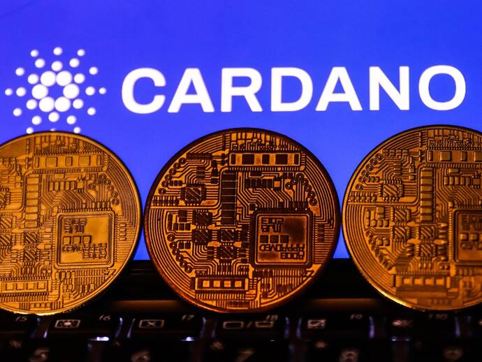 Cardano Gains On Plomin Hard Fork Approval, Binance Support: Retail Sentiment Improves