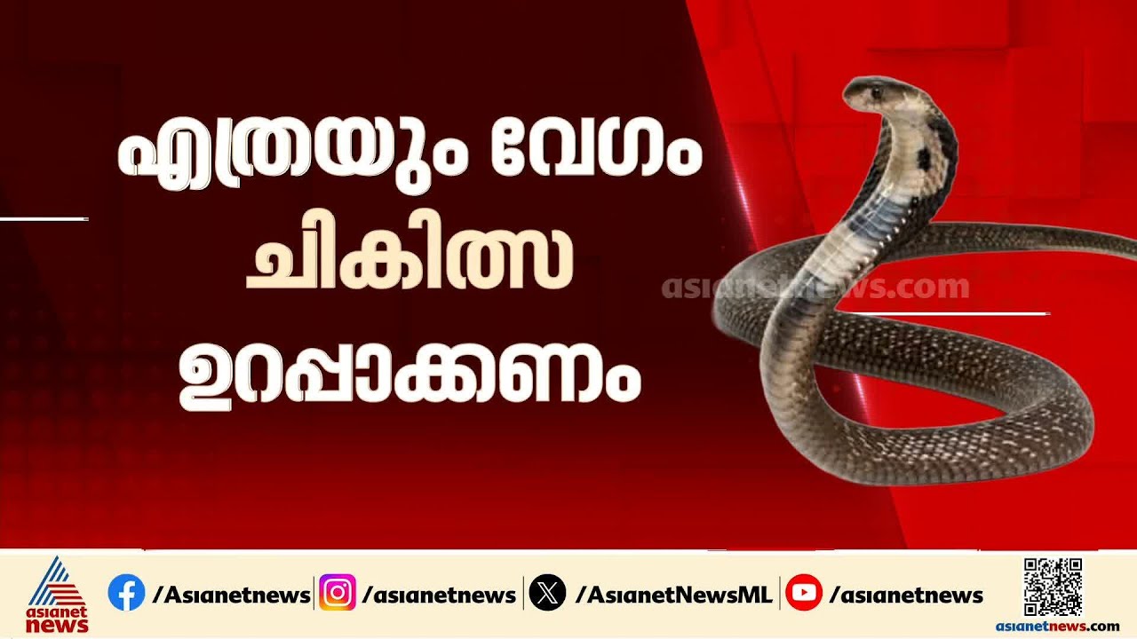 സമയം കളയരുത്... പാമ്പ് കടിയേറ്റാൽ ആദ്യം ചെയ്യേണ്ടത് എന്തൊക്കെ? | Sanke Bite