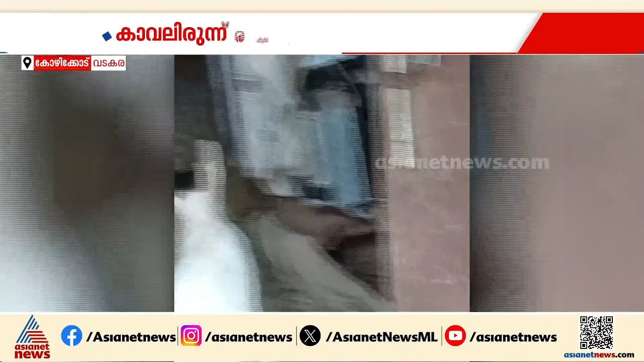 രക്ഷകനായി 'പൂച്ച സെർ'; വീട്ടുകാരെ മൂർഖനിൽ നിന്ന് രക്ഷിച്ച്  വളർത്തുപൂച്ച | Kozhikode