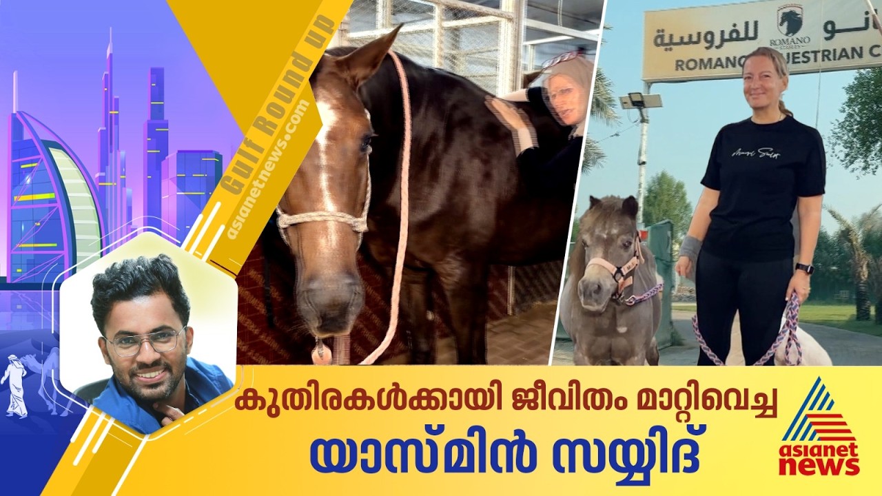 ദിവസവും വേണ്ടത് ലക്ഷങ്ങൾ; ആർക്കും വേണ്ടാതാകുന്ന കുതിരകൾക്കായി ഒരു വനിതയുടെ ജീവിതം | Animal rescuers