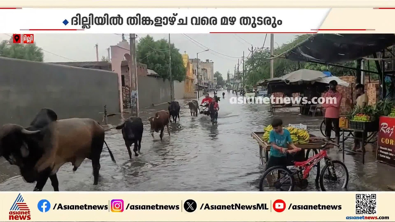 ഉത്തരേന്ത്യന്‍ സംസ്ഥാനങ്ങളില്‍ കനത്തമഴ തുടരുന്നു;ദില്ലിയില്‍ 11 വിമാനങ്ങള്‍ വഴിതിരിച്ച് വിട്ടു| Rain