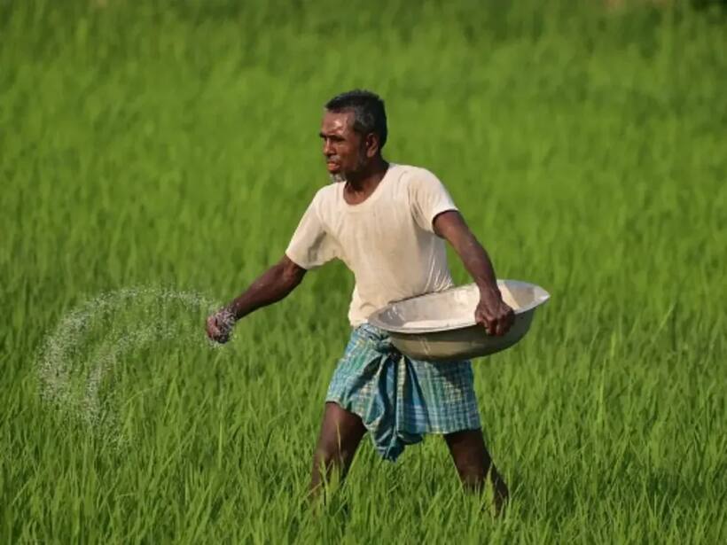 https://stocktwits.com/news articles/markets/equity/deepak fertilisers can breakout above 1446 says sebi ra finance with palak/ch0Agj4Rbt2