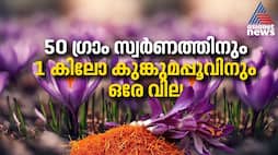 Saffron Price Equals 50g Gold & 1kg Saffron?