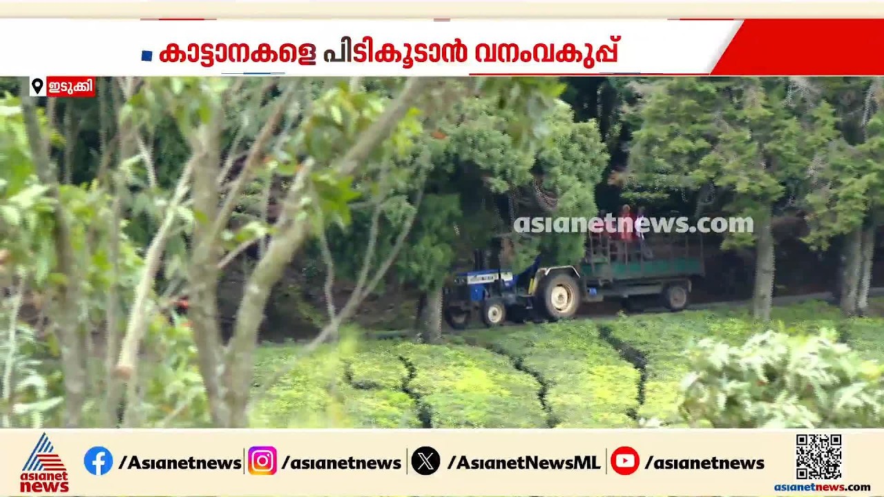 കാട്ടാന ഭീതിയിൽനിന്നും ചിന്നക്കനാലുകാരെ രക്ഷിക്കാൻ മയക്കുവെടി ദൗത്യവുമായി വനംവകുപ്പ്