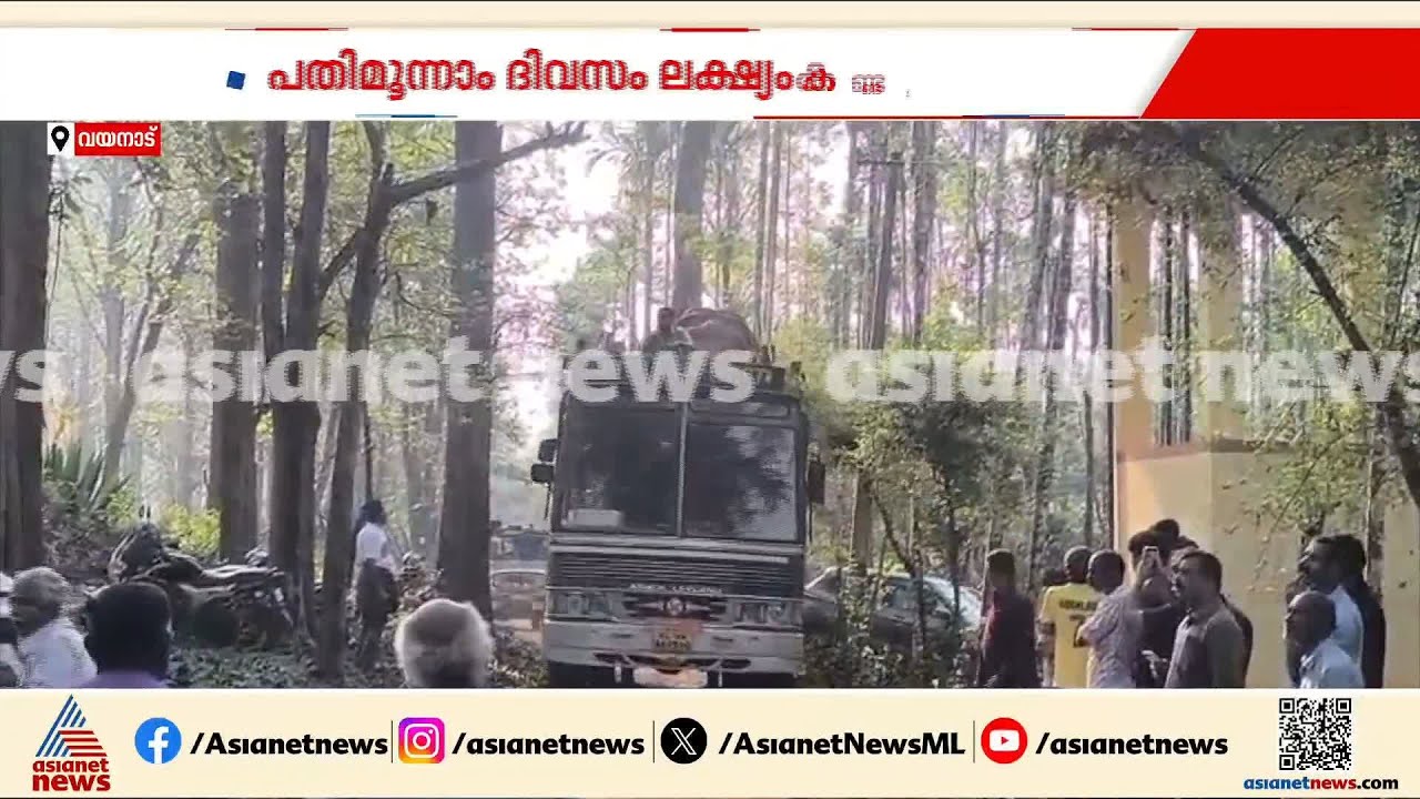 മയക്കുവെടിയേറ്റ മുട്ടിക്കൊമ്പനെ മുത്തങ്ങ ആന പന്തിയിലേക്ക് കൊണ്ടുപോകും