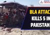 BLA Militants Strike Again: Suicide Attack Kills Five in Pakistan! | Asianet Newsable