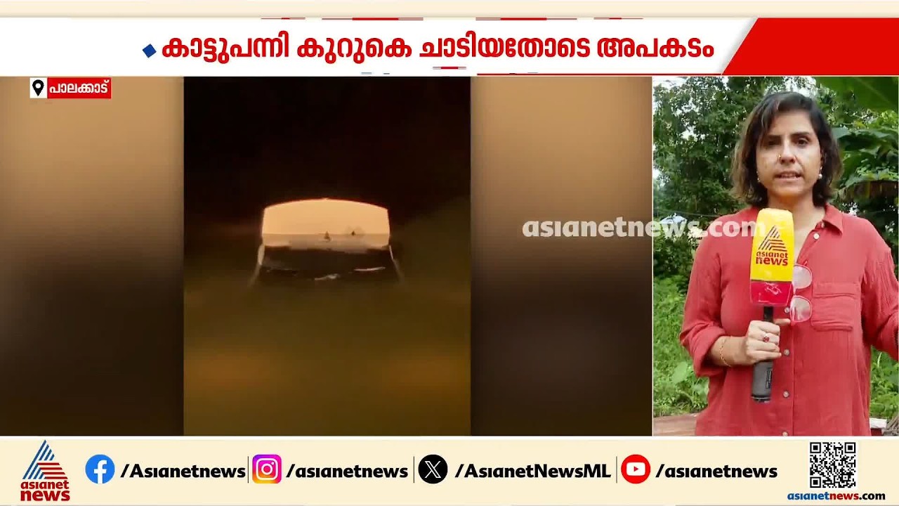 കാട്ടുപന്നി കുറുകെ ചാടി; കാർ നിയന്ത്രണം വിട്ട് തോട്ടിൽ വീണു