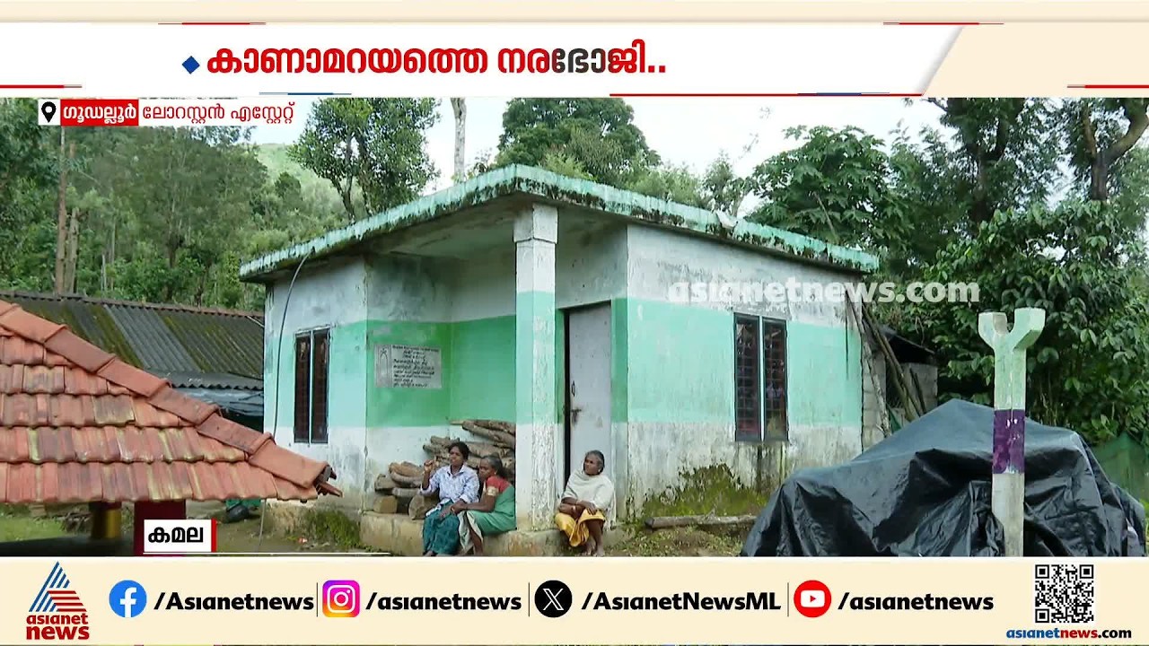 നരഭോജി കടുവ കാണാമറയത്ത് തുടരുന്നു; ജോലിക്ക് പോലും പോകാനാകാത്ത പ്രതിസന്ധിയിൽ ആദിവാസി ജനത