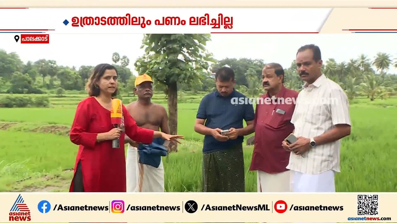 ഉത്രാടത്തിലും പണം കിട്ടിയില്ല; ദുരിതത്തിലായി പാലക്കാട്ടെ നെൽകർഷകർ
