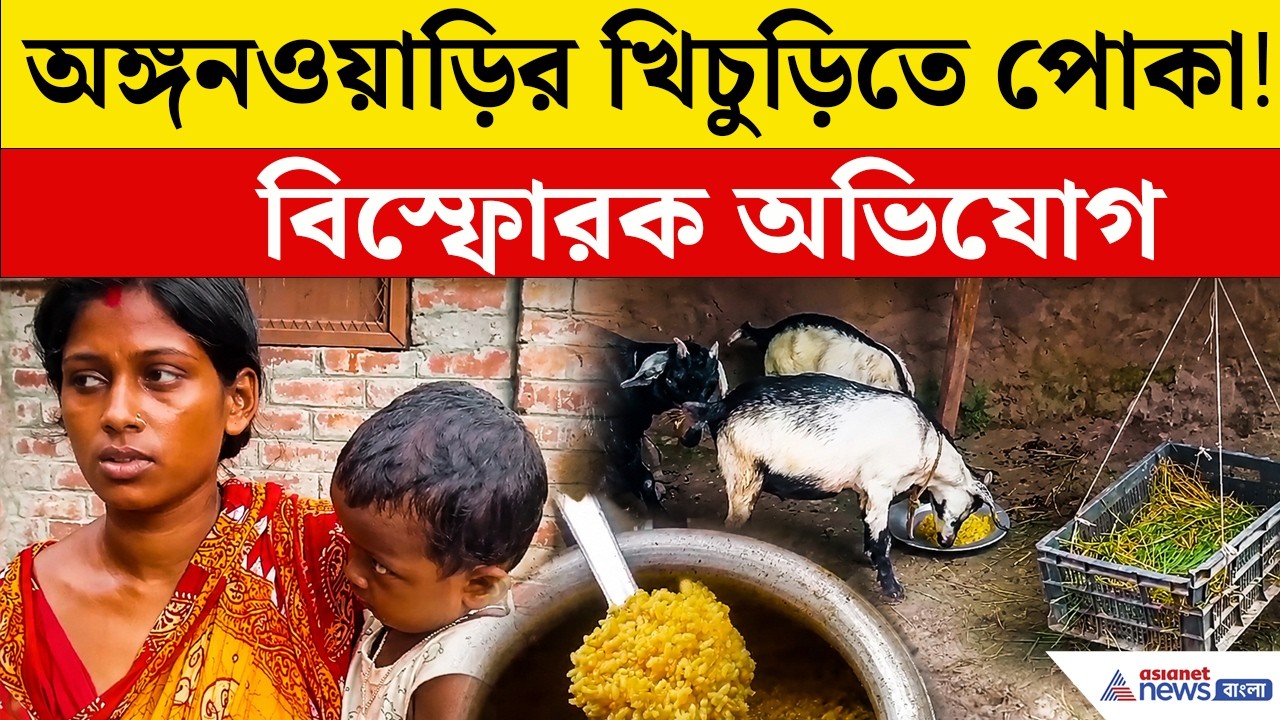 প্রসূতি মায়েদের জন্য অঙ্গনওয়াড়ির খিচুড়ি নিয়ে বিস্ফোরক অভিযোগ | ICDS News | Preganant Woman