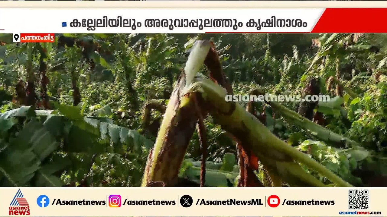 'എല്ലാം പോയി...സങ്കടം കാരണം ഉറങ്ങാനായില്ല'; പത്തനംതിട്ടയിൽ മഴയിൽ കനത്ത നാശനഷ്ടം