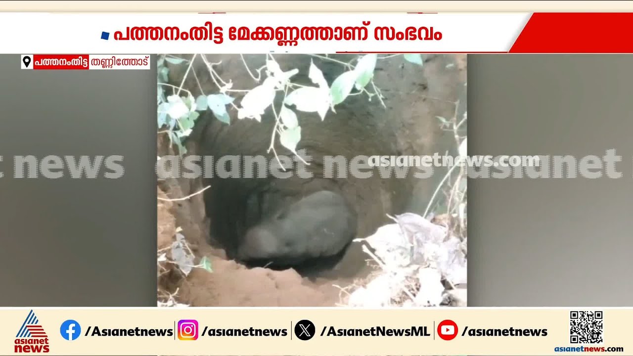 പത്തനംതിട്ടയിൽ കുട്ടി കാട്ടാന കിണറ്റിൽ വീണു; ആനയെ പുറത്തെത്തിക്കാൻ ശ്രമം തുടരുന്നു
