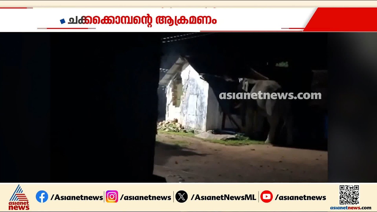 ഇടുക്കി ആനയിറങ്കലിൽ റേഷൻ കട തകര്‍ത്ത് ചക്കക്കൊമ്പന്റെ ആക്രമണം