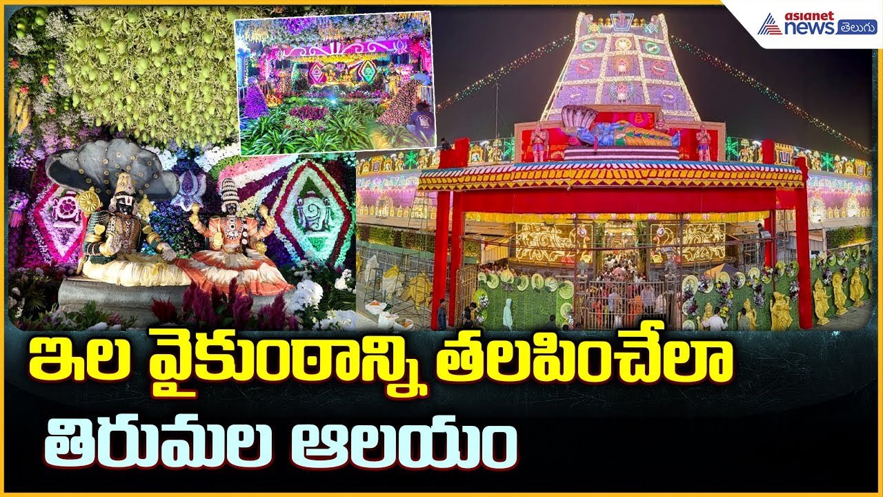 Tirumala Temple Decoration: ఇల వైకుంఠాన్ని తలపించేలా తిరుమల ఆలయం| Asianet News Telugu