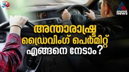 Obtain an International Driving Permit (IDP)