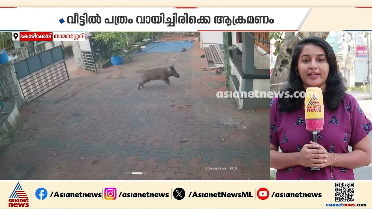 വീട്ടുവരാന്തയിൽ പത്രം വായിച്ചു കൊണ്ടിരുന്ന മധ്യവയസ്കന് നേരെ കാട്ടുപന്നി ആക്രമണം| Wild Boar Attack
