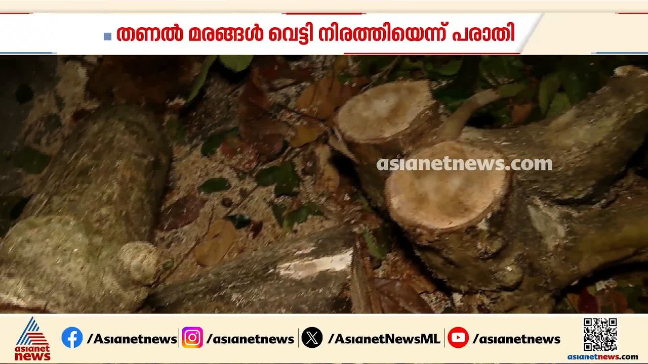 ഒരു അനുമതിയുമില്ല; ഇടപ്പള്ളിയിൽ റോഡിൽ നിന്ന തണൽ മരങ്ങൾ മുറിച്ചു നീക്കി സ്വകാര്യ സ്ഥാപനം