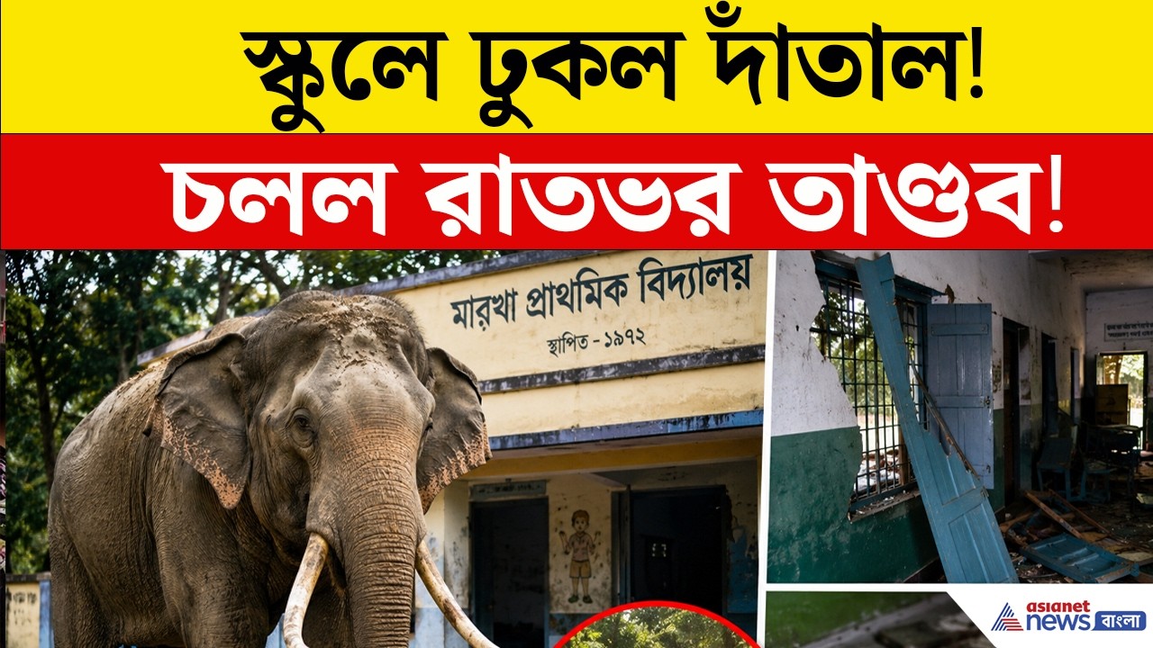 জঙ্গল ছেড়ে স্কুলে গজরাজের তাণ্ডব! আতঙ্কে ছাত্র-শিক্ষক, ভাঙচুর মিড ডে মিলের ঘরে | Bankura News