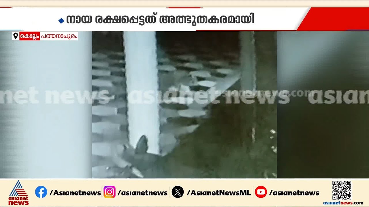 വീടിന് മുന്നിൽ ഉറങ്ങിക്കിടന്ന നായയെ പിടിക്കാൻ പുലി! ദൃശ്യങ്ങൾ