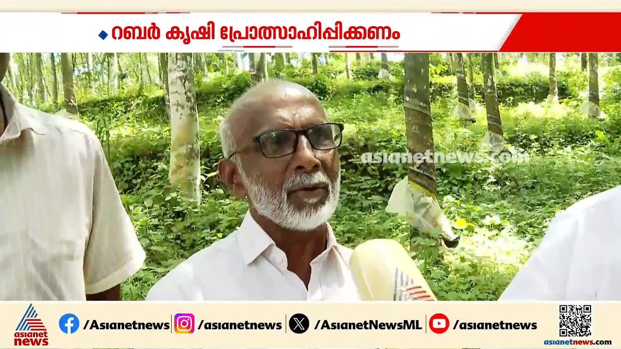 റബറിന്റെ താങ്ങുവില 250 ആക്കി; സന്തോഷത്തിൽ കർഷകർ