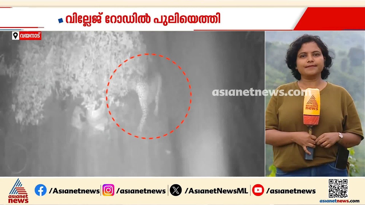 വയനാട് ചൂരല്‍മലയില്‍ വീണ്ടും പുലിയിറങ്ങി; വളര്‍ത്തുനായയെ പിടികൂടി