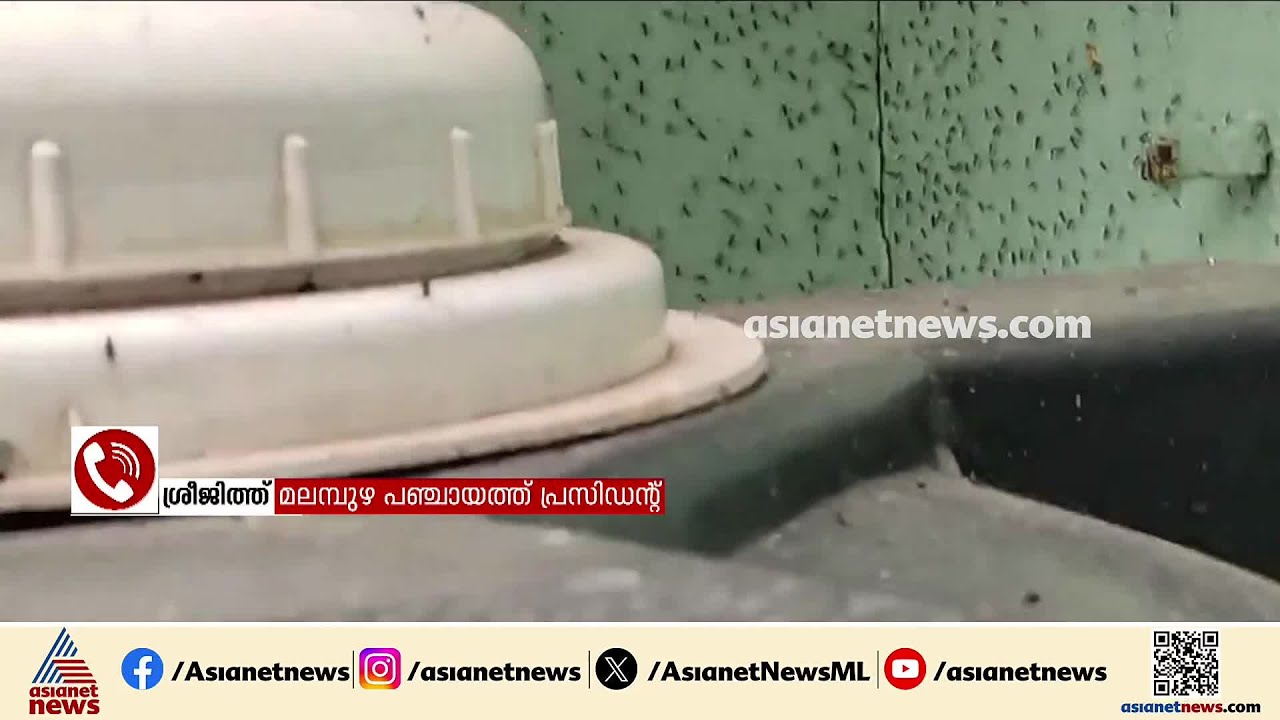 വെള്ളത്തിൽ നിന്നുണ്ടാകുന്ന പ്രാണിയാണ്, നടപടിയെടുക്കേണ്ടത് വാട്ടര്‍ അതോറിറ്റി: പഞ്ചായത്ത് പ്രസിഡന്റ്