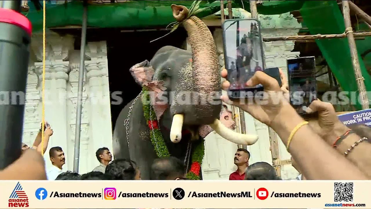 പാറമേക്കാവിൻ്റെ തിടമ്പേറ്റാൻ തൃക്കടവൂർ ശിവരാജു എത്തി, മേളപ്പെരുക്കത്തോടെ വരവേൽപ്പ്