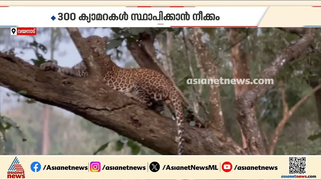 വന്യജീവി നിരീക്ഷണത്തിന് ഇനി എഐ ക്യാമറകൾ; വയനാട് ഫോറസ്റ്റ് ഡിവിഷനിൽ തുടക്കം