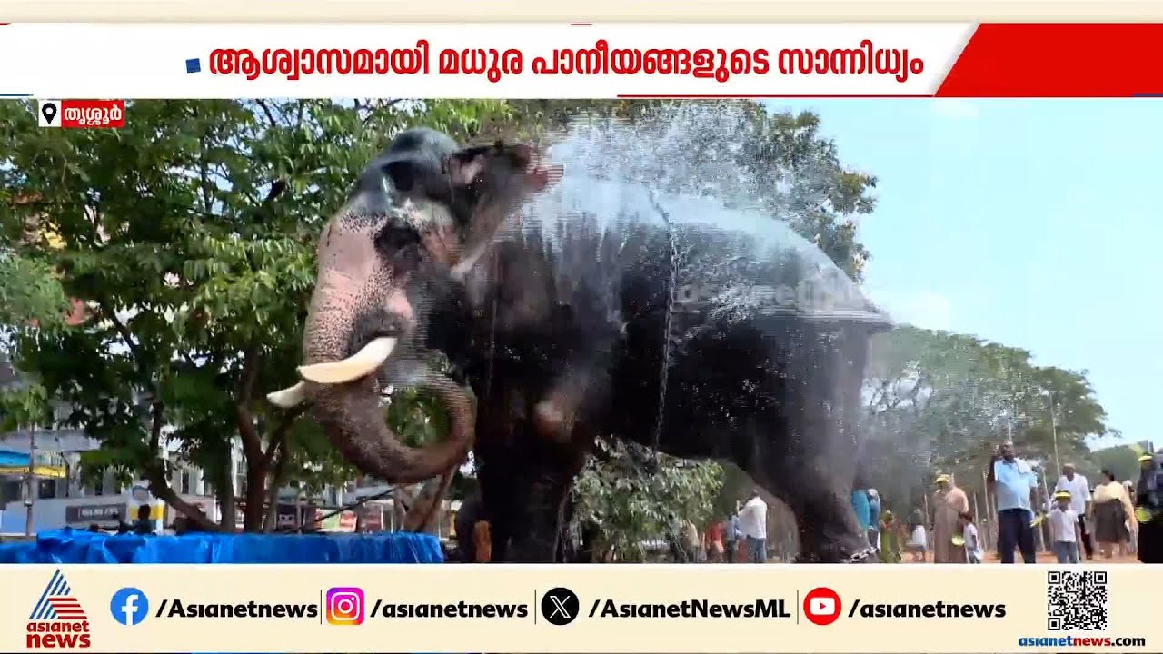 കൊടും ചൂടിലും അണയാത്ത ആവേശം; ഫുൾ ഓൺ വൈബിൽ പൂരനഗരി | Thrissur Pooram 2026