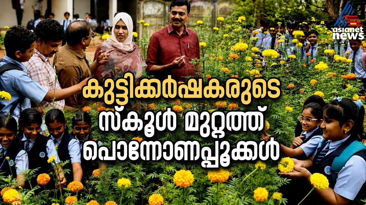 സ്കൂള് മുറ്റത്ത് പൂക്കൃഷി വിളവെടുപ്പ്, കുട്ടിക്കര്ഷകര് സൂപ്പര് ഹിറ്റ്... | Onam | Flower