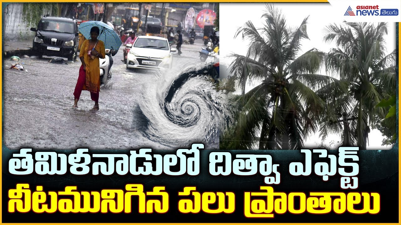 Cyclone Ditwah Effect: తమిళనాడులో దిత్వా ఎఫెక్ట్ నీటమునిగిన పలు ప్రాంతాలు | Asianet News Telugu