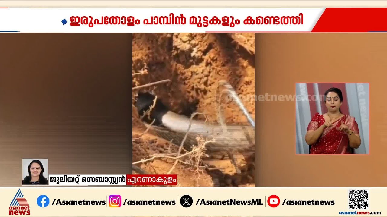 പെരുമ്പാവൂര്‍ കുഴൂരില്‍ മൂര്‍ഖന്‍ പാമ്പിനെ പിടികൂടി, ഒപ്പം ഇരുപതോളം മുട്ടകളും കണ്ടെത്തി