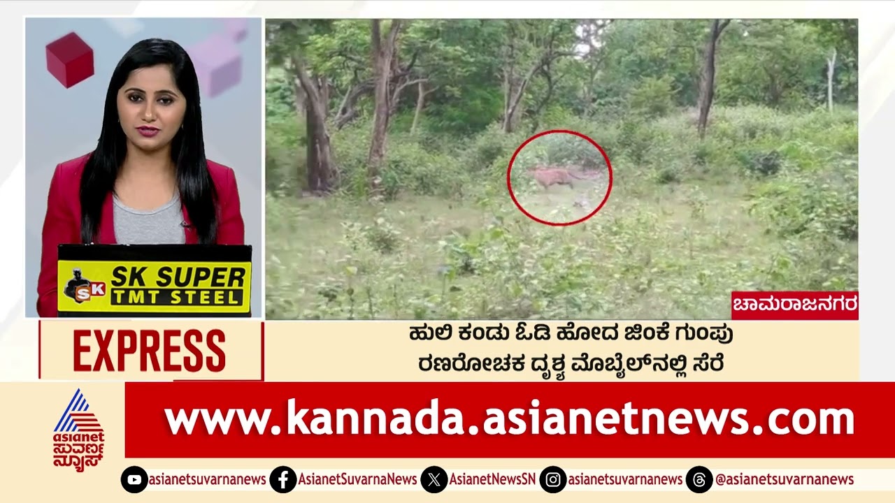 ಹುಲಿ ಕಂಡು ಓಡಿ ಹೋದ ಜಿಂಕೆ ಗುಂಪು