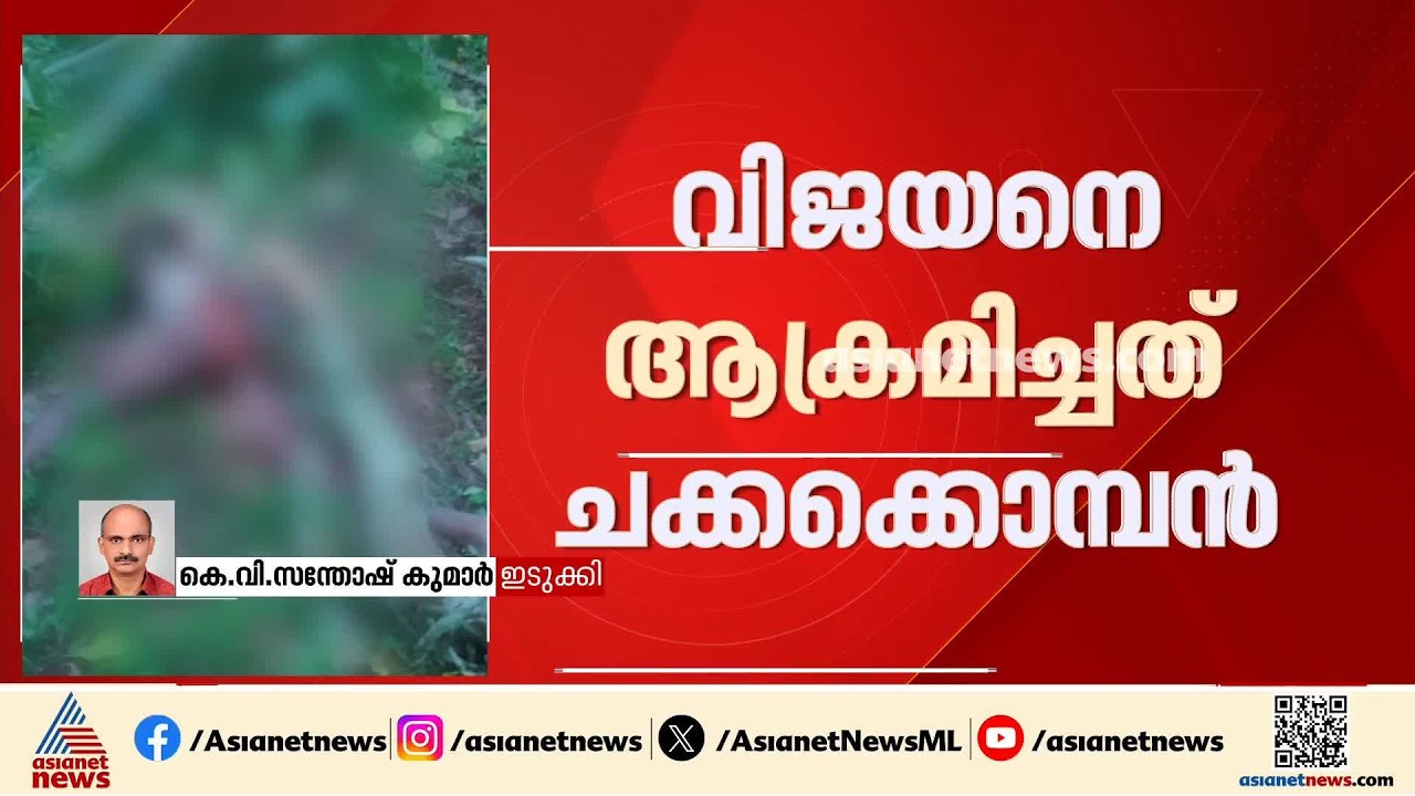 ജീവനെടുത്തത് കാട്ടാന; ഇടുക്കിയില്‍ ആദിവാസി യുവാവിന് ദാരുണാന്ത്യം, വിജയനെ ആക്രമിച്ചത് ചക്കക്കൊമ്പൻ