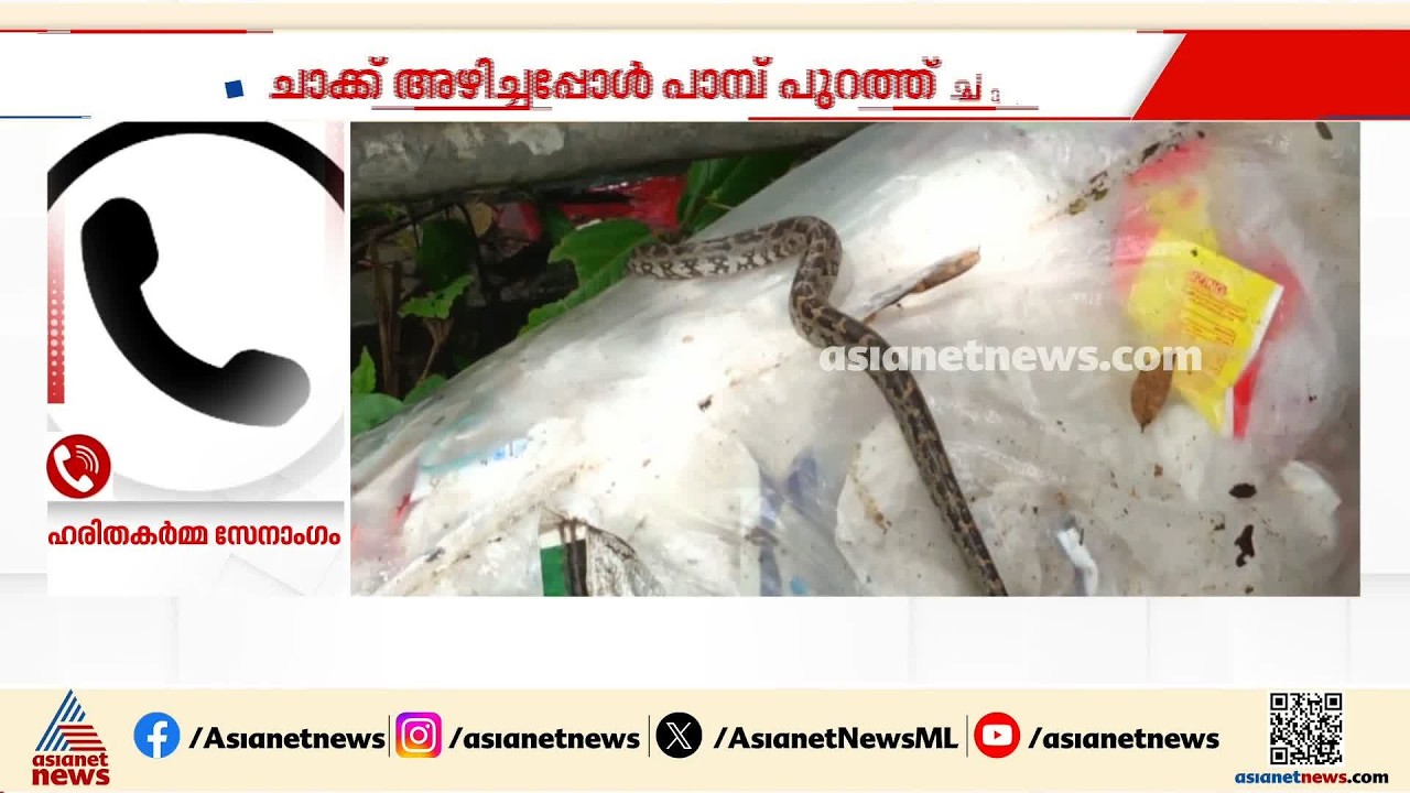 കമ്പി അഴിച്ചതും പാമ്പ് പുറത്തേക്ക് ചാടി', ഹരിതകർമ്മ സേന ശേഖരിച്ച മാലിന്യത്തിനൊപ്പം പെരുമ്പാമ്പ്