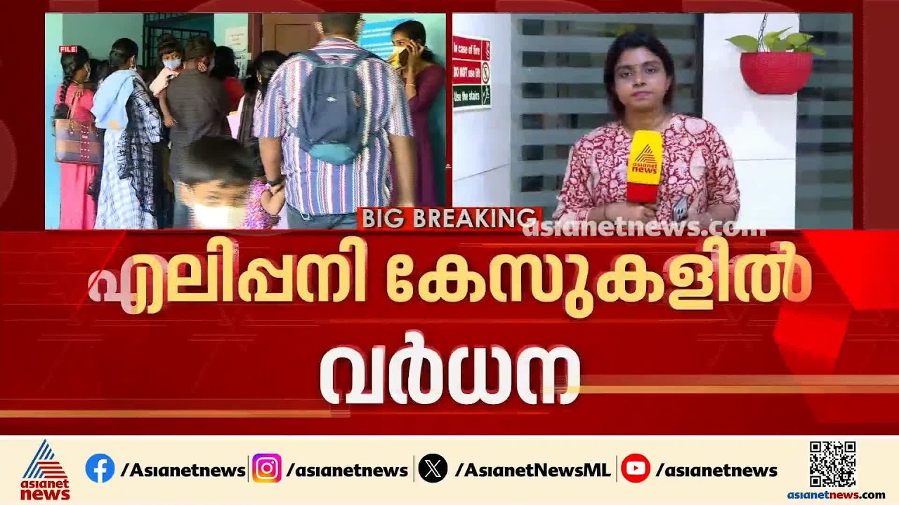 സംസ്ഥാനത്ത് എലിപ്പനി കേസുകളിലും വർധനവ്; മരണനിരക്കിലെ കുറവുമാത്രമാണ് ആശ്വാസം | Leptospira | Health