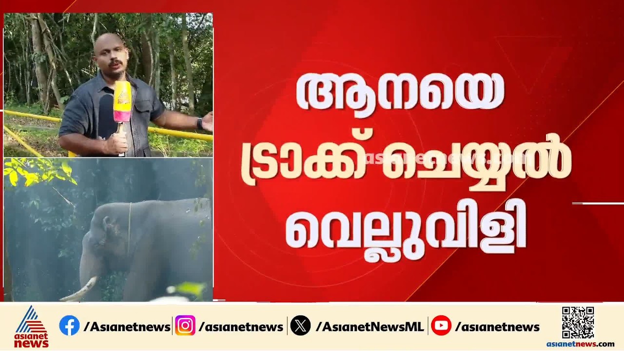 ആറളത്തെ KM1 മോഴയാന ഒളിച്ചുകളി തുടരുന്നു; മയക്കുവെടി വെക്കാനുള്ള ദൗത്യം ഇന്ന് വീണ്ടും തുടങ്ങും